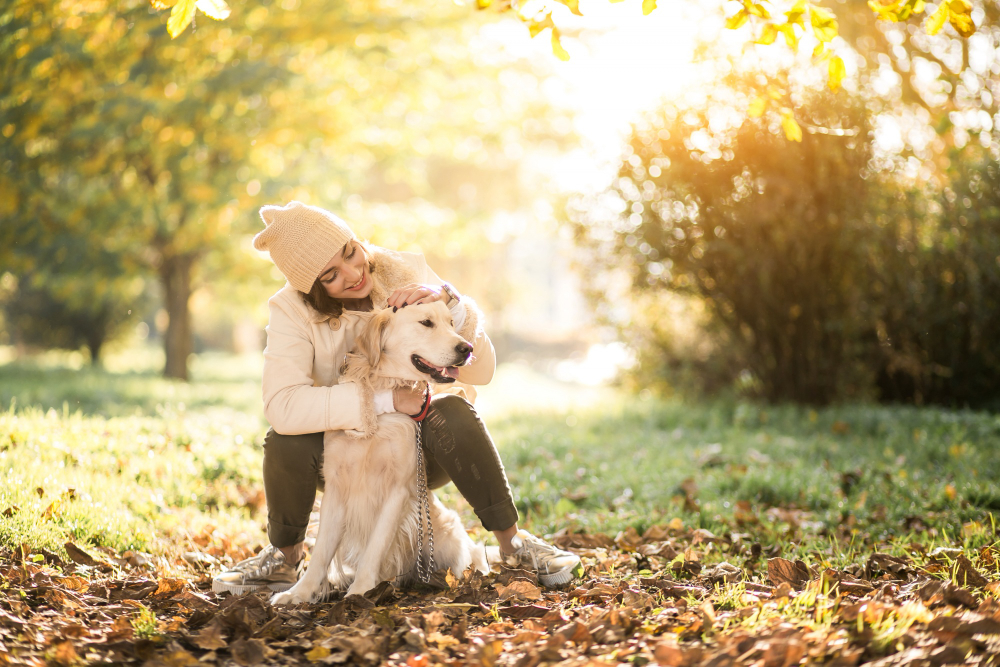 CBD for Pets