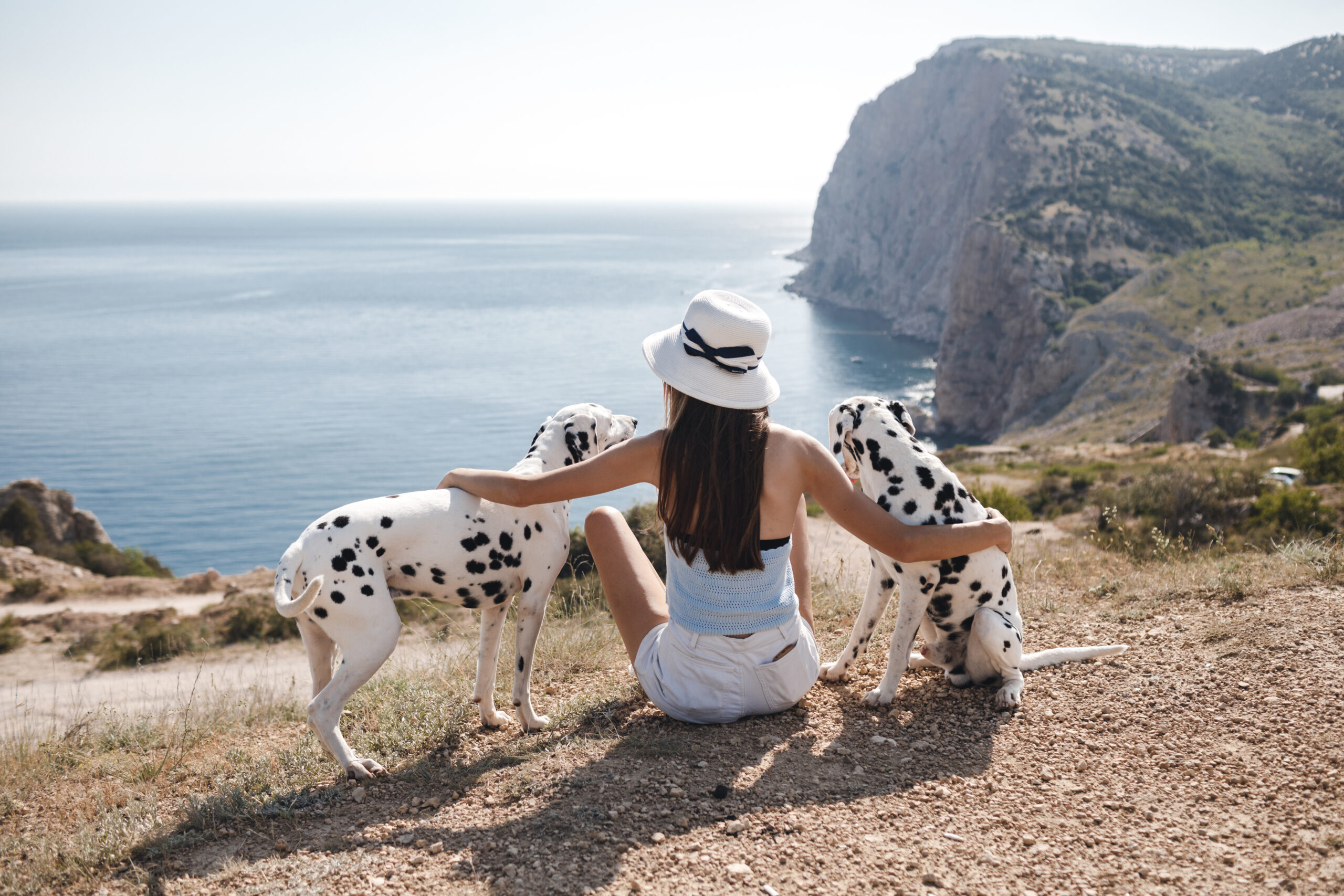 the ethics of CBD for pets